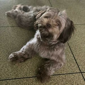 Meet your Posher, Jaimee